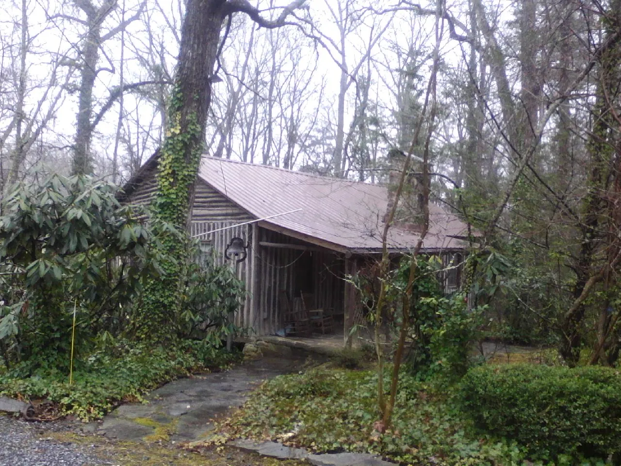Weathered metal roof on an old board sided cabin in the woods in Dellrose