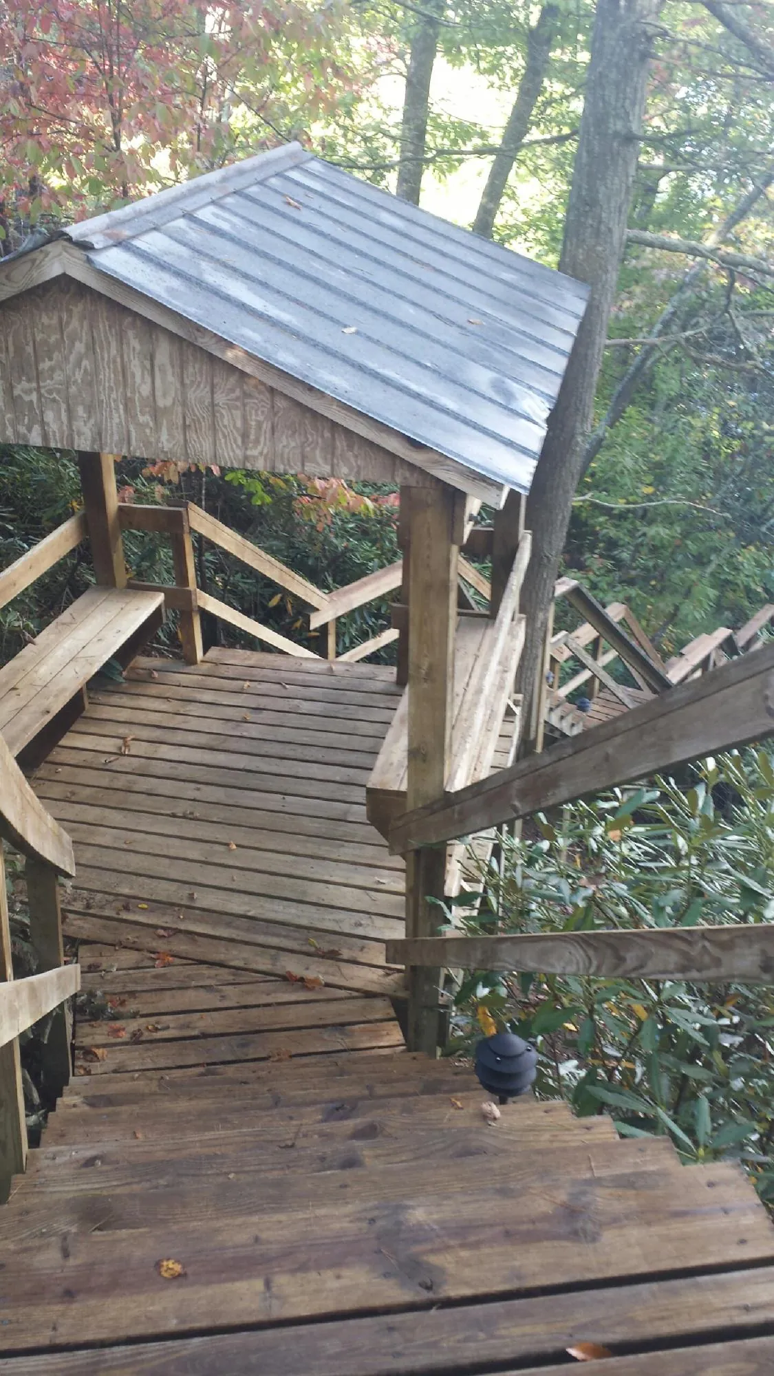 Metal roofed shelter over wooden steps on a wooded walkway — Skylight Repair & Installation work by our crew in Dellrose