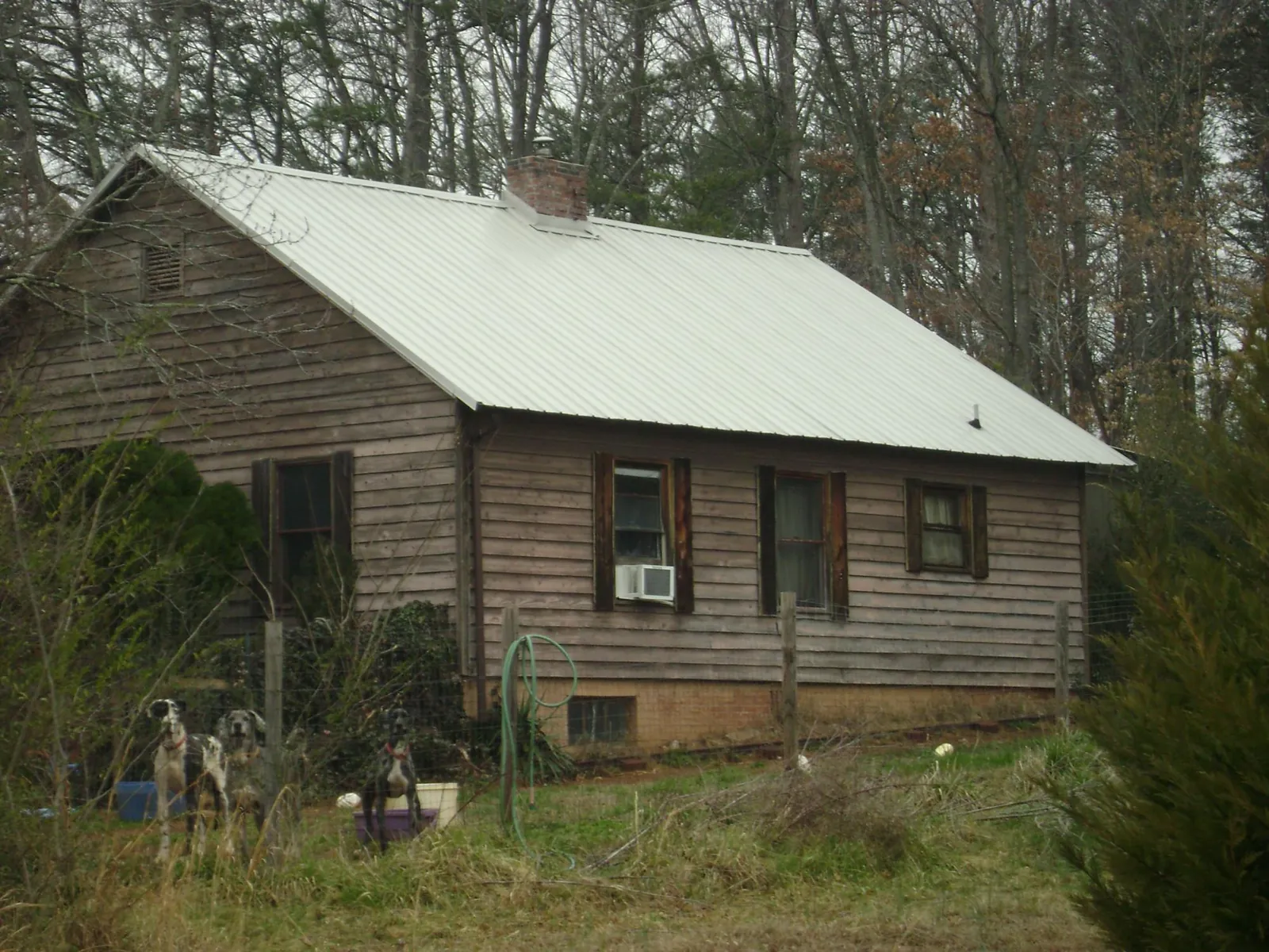 White metal roof on an old wood sided farmhouse, from a Asphalt Shingle Roof Repair job in Dellrose